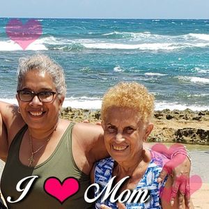 Meet your Posher, Lilly